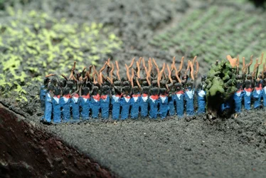 Diorama fra slaget ved Waterloo, der viser tropper placeret kl. 19.45 den 18. juni 1815 (blandet medier) (detaljer)